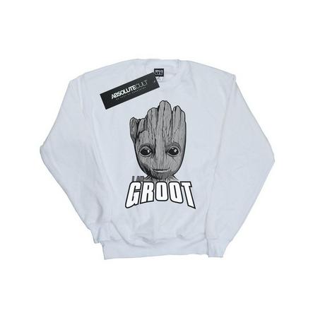 MARVEL  Guardians Of The Galaxy Sweatshirt 