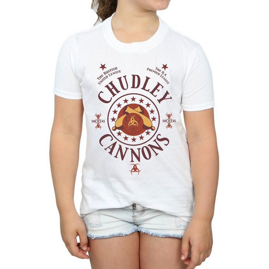 Harry Potter  Chudley Cannons TShirt 