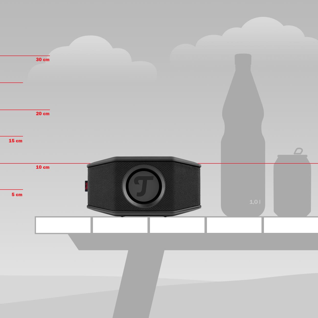 Teufel  Rockster GO 2 