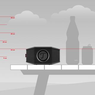 Teufel  Rockster GO 2 