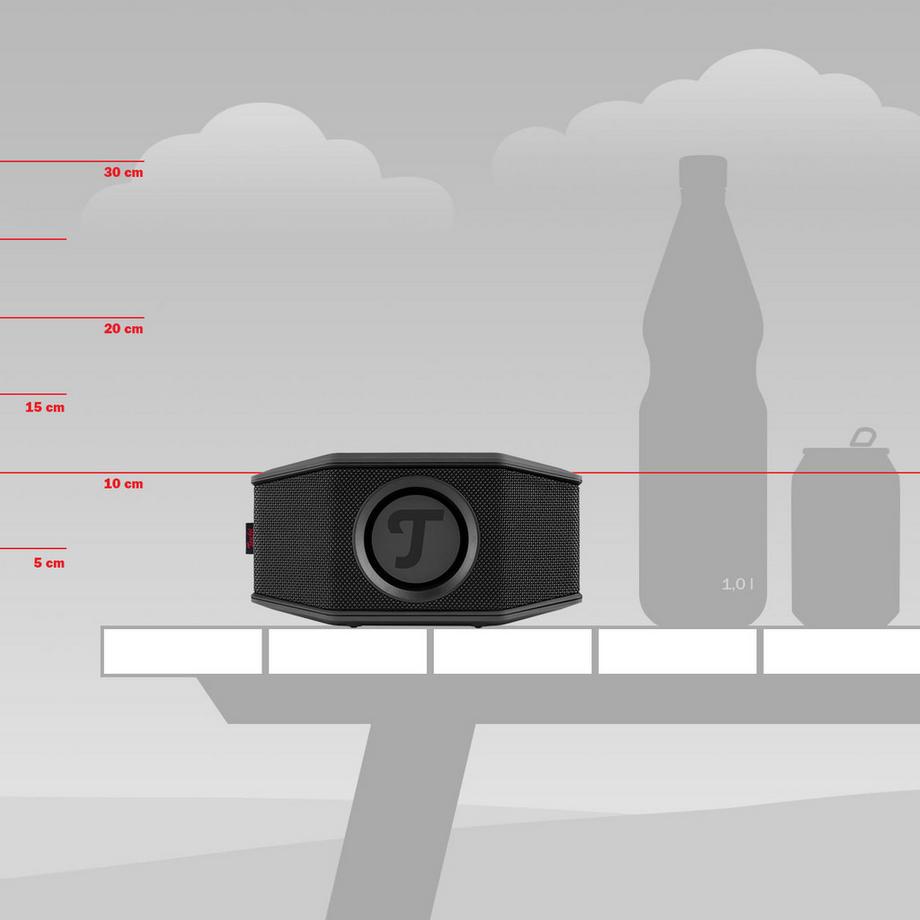 Teufel  Rockster GO 2 