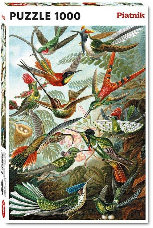 Piatnik  Piatnik Hummingbirds Ernst Haeckel (1000) 