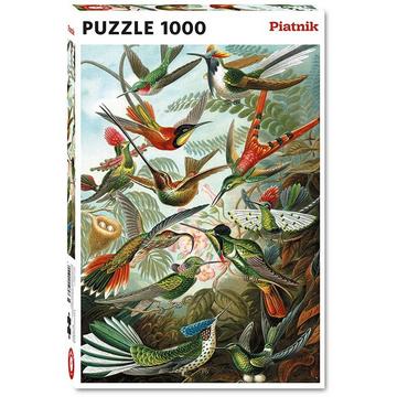 Piatnik Hummingbirds Ernst Haeckel (1000)