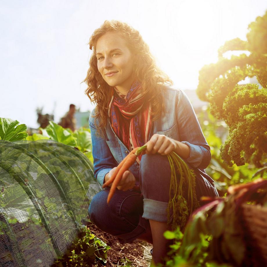 B2X  Tunnel végétal 3 m par lot de 2 