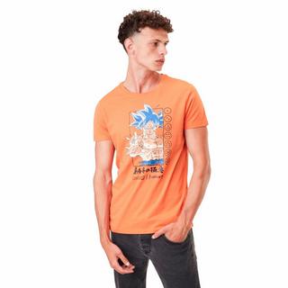 Capslab  T-shirt - Dragon Ball - Son Goku 