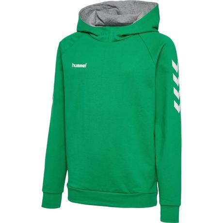 Hummel  hoodie kinder go 