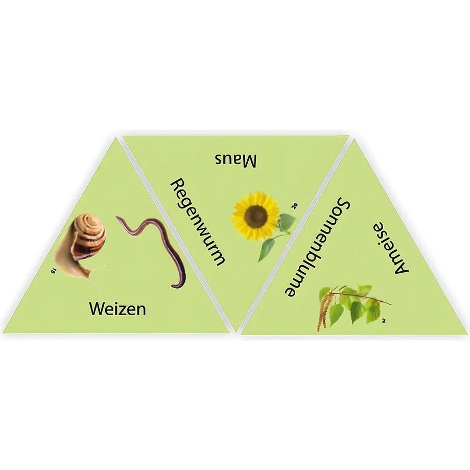 HABA  Learning Star - Wald, Feld & Wiese 