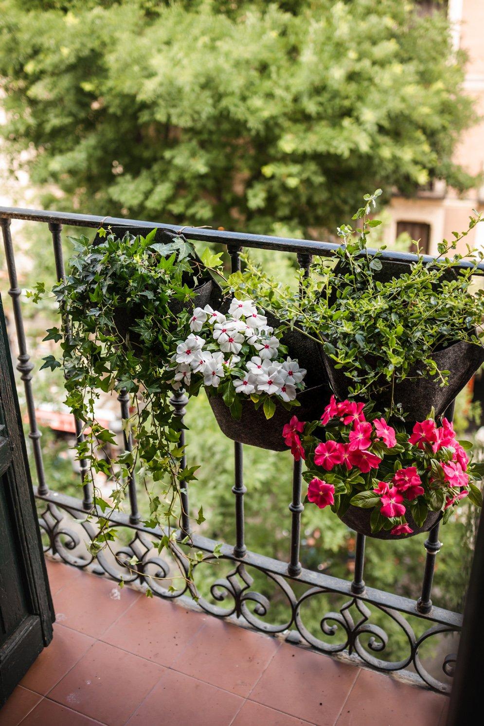 CitySens 3 Pack Wall Planters ; jardinière noire ; couverture textile grise  