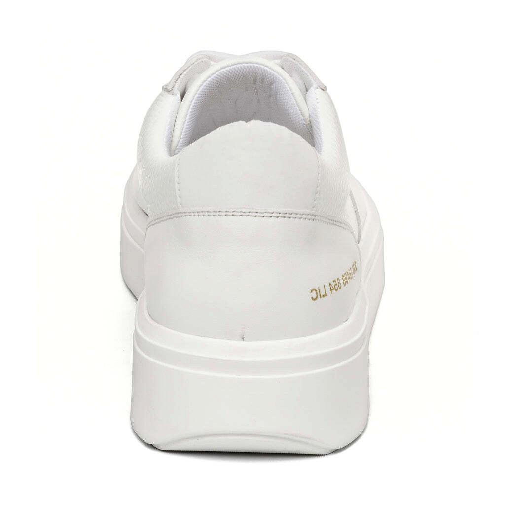 STEVE MADDEN  baskets flynn 