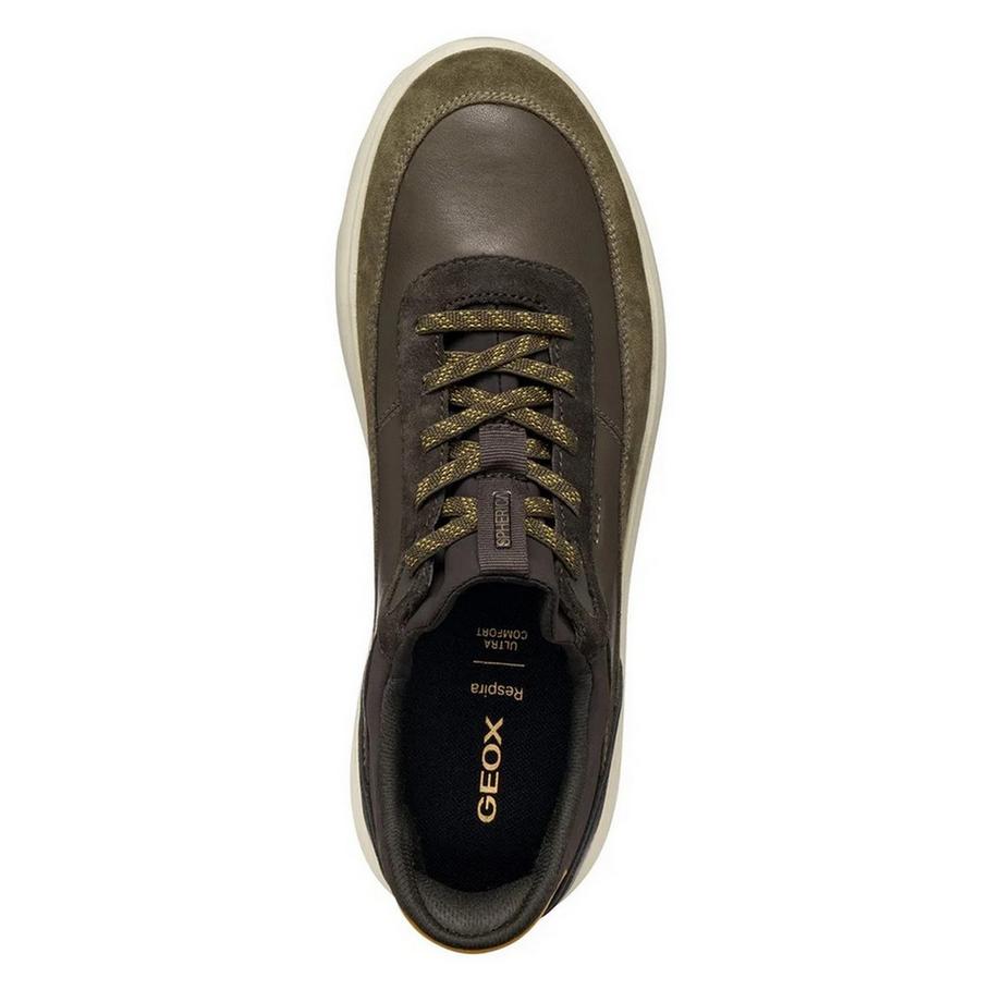 GEOX Sneaker Spherica Plus in Pelle  