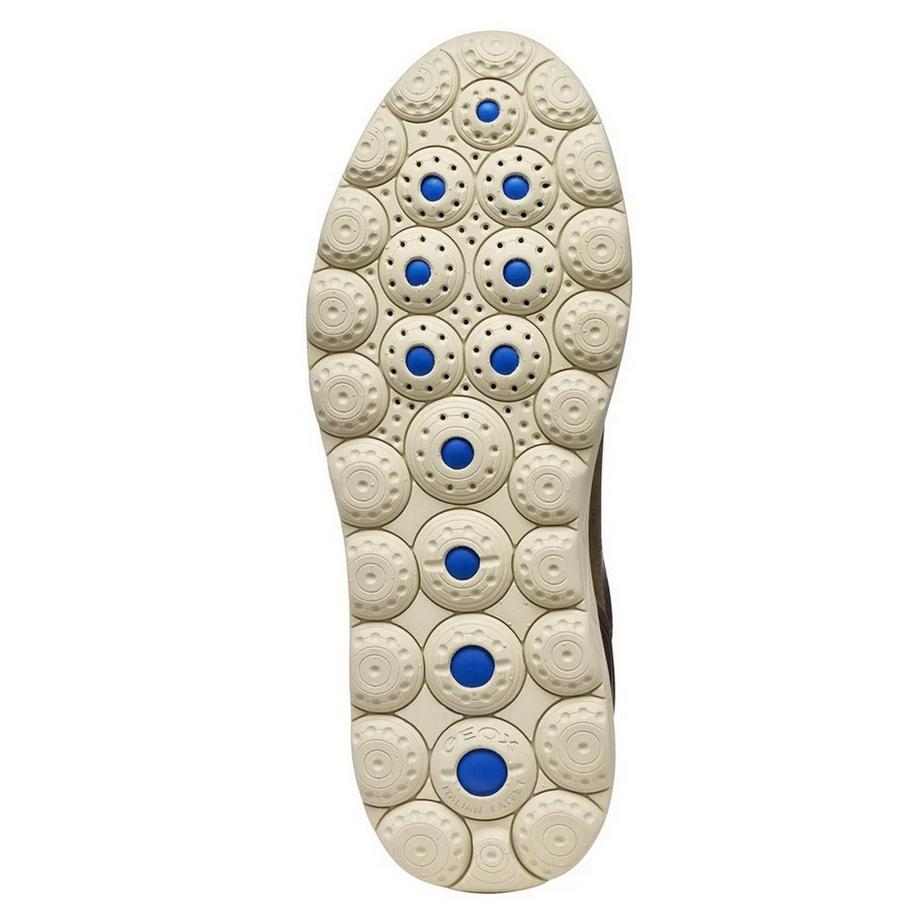 GEOX Sneaker Spherica Plus in Pelle  