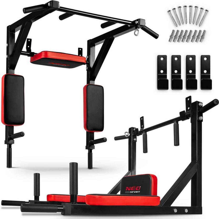 B2X  Wandmontierte Klimmzugstange mit Rückenlehne NS-319 