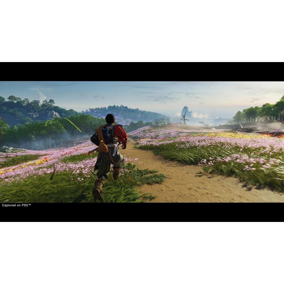 SONY  Ghost of Tsushima Director’s Cut (PS5, Multilingual) 