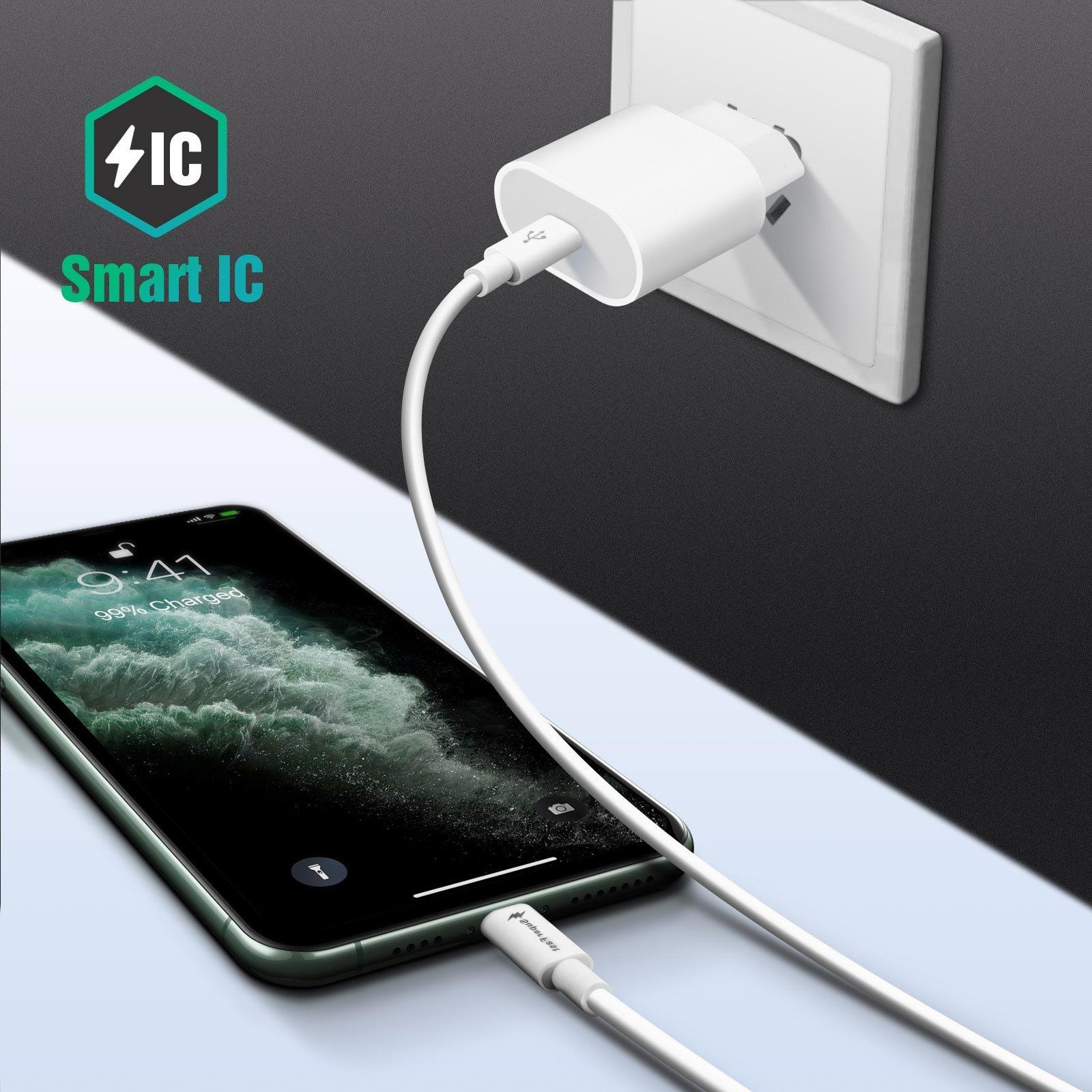 Avizar  Caricatore USB-C + Cavo Lightning 20W 