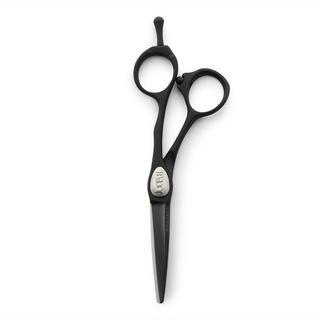 Joewell  CH HS Schere Joewell 6 Black Crest 