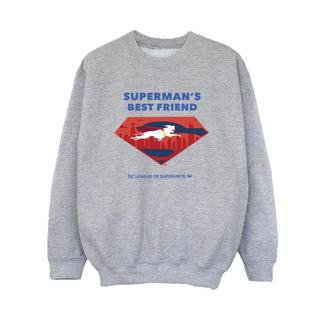 DC COMICS  DCs DC League Of SuperPets Best Friend Sweatshirt 