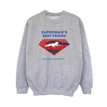 DCs DC League Of SuperPets Best Friend Sweatshirt