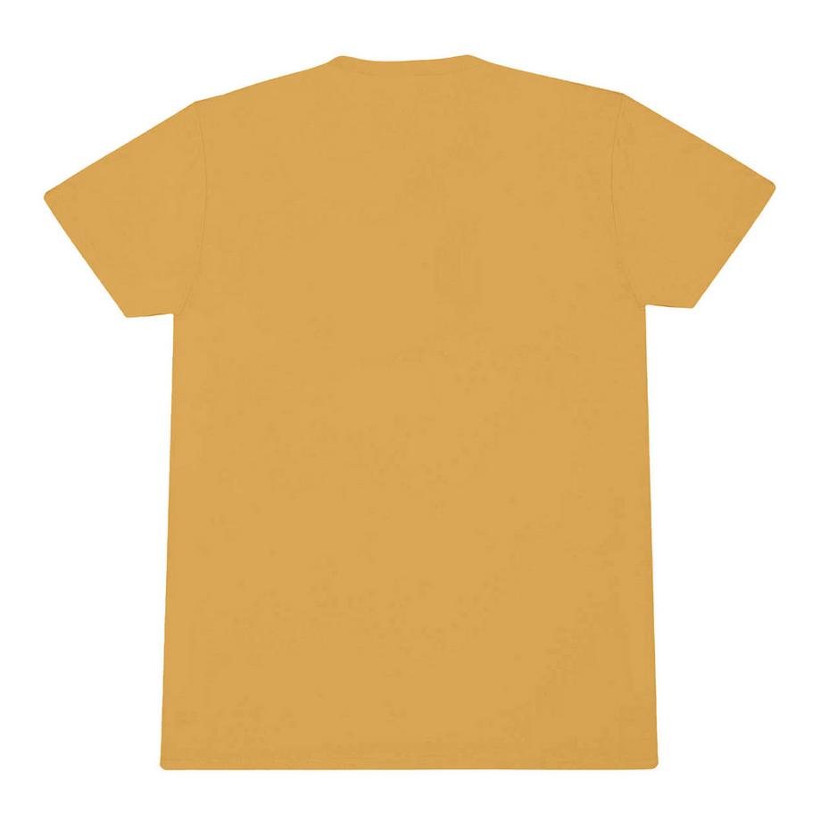 Alice In Chains Seattle 1987 T-Shirt  