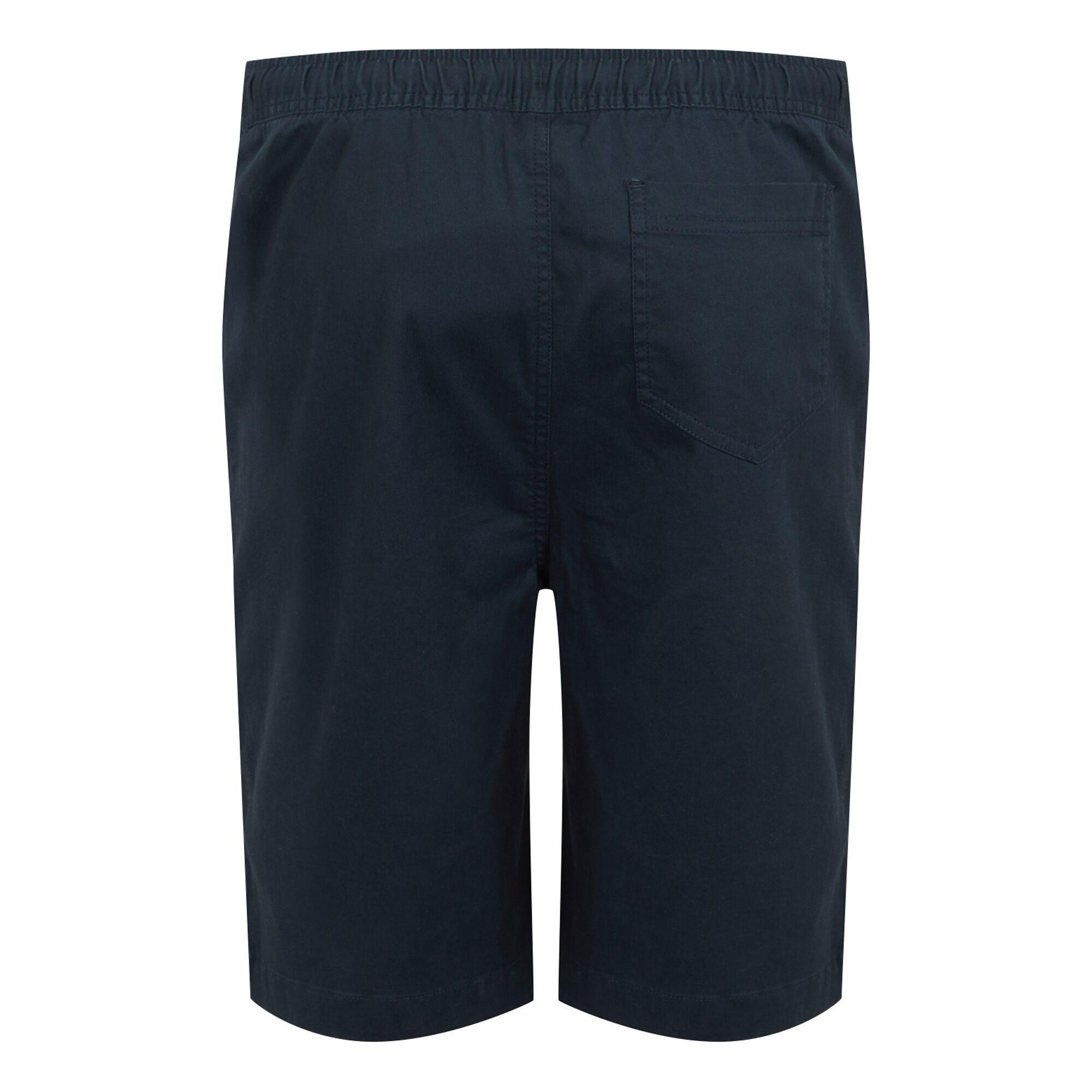 Regatta Aldan Chino Shorts  