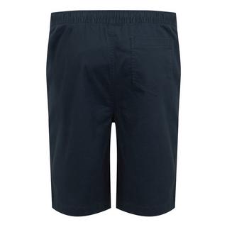 Regatta Aldan Chino Shorts  