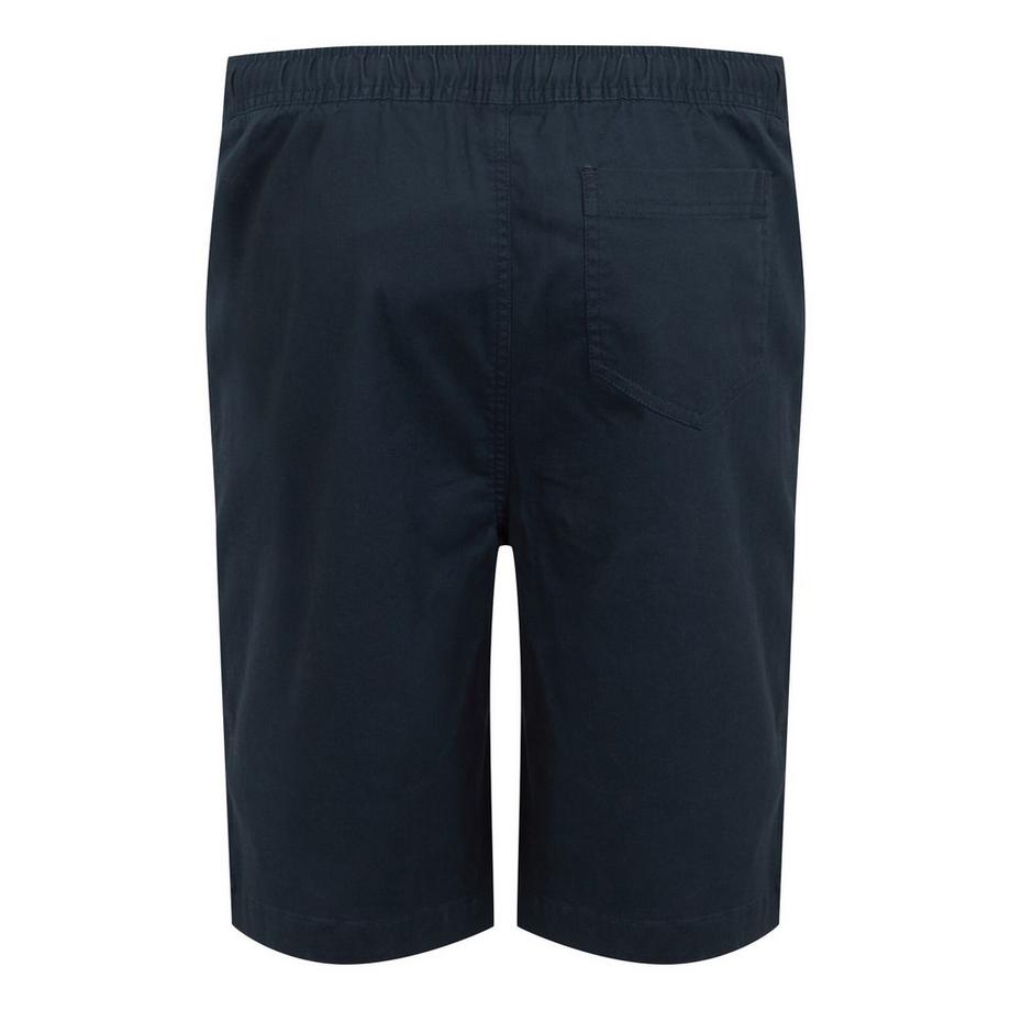 Regatta Aldan Chino Shorts  