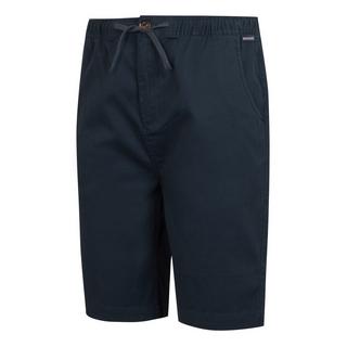 Regatta Aldan Chino Shorts  