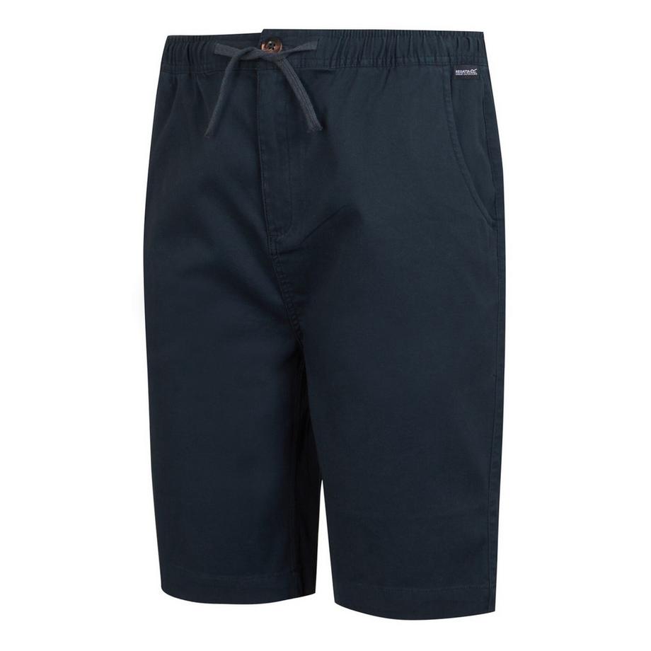 Regatta Aldan Chino Shorts  