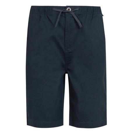 Regatta Aldan Chino Shorts  