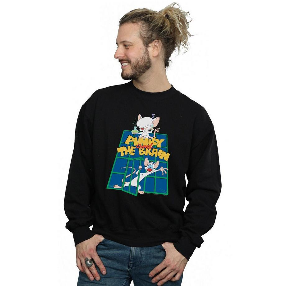 Animaniacs Pinky et The Brain Sweatshirt  