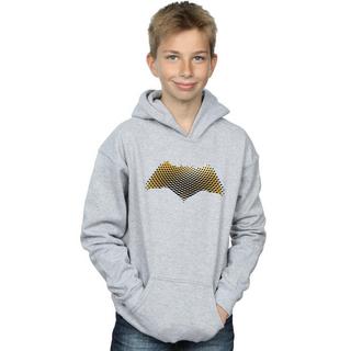 DC COMICS  Justice League Kapuzenpullover 