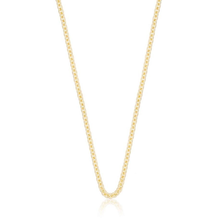 MUAU Schmuck  Collier Rundanker Gelbgold 750, 3.1mm, 42cm 