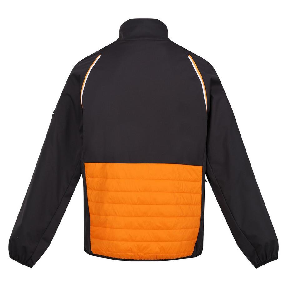 Regatta Steren Hybrid Softshelljacke  