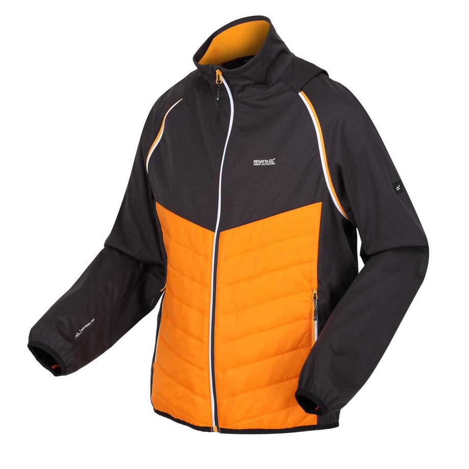 Regatta Steren Hybrid Softshelljacke  