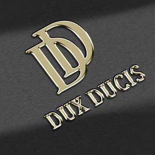 DuxDucis  Dux Ducis Hülle Samsung S24 