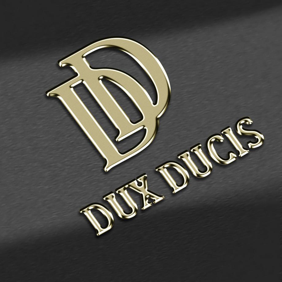 DuxDucis  Dux Ducis Hülle Samsung S24 