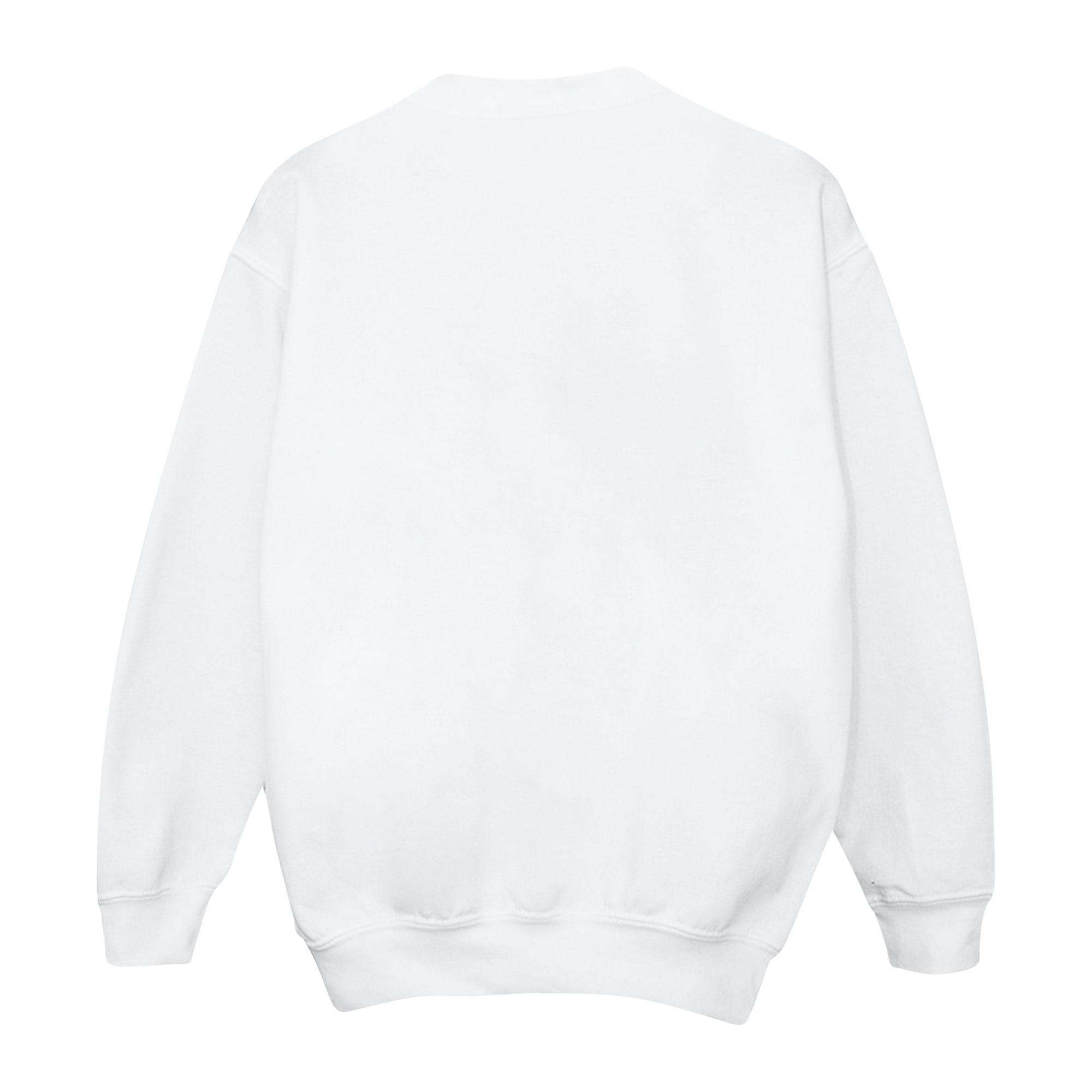 Disney  Encanto Sweatshirt 