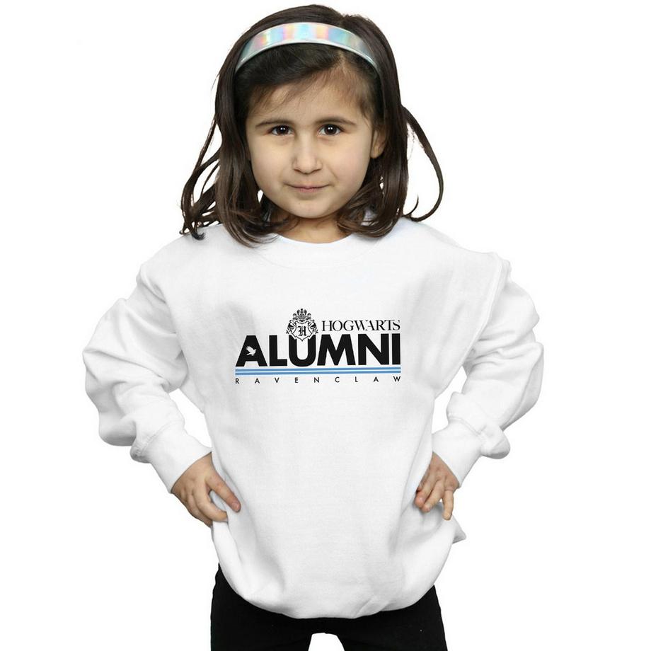 Harry Potter  Hogwarts Ravenclaw Sweatshirt 