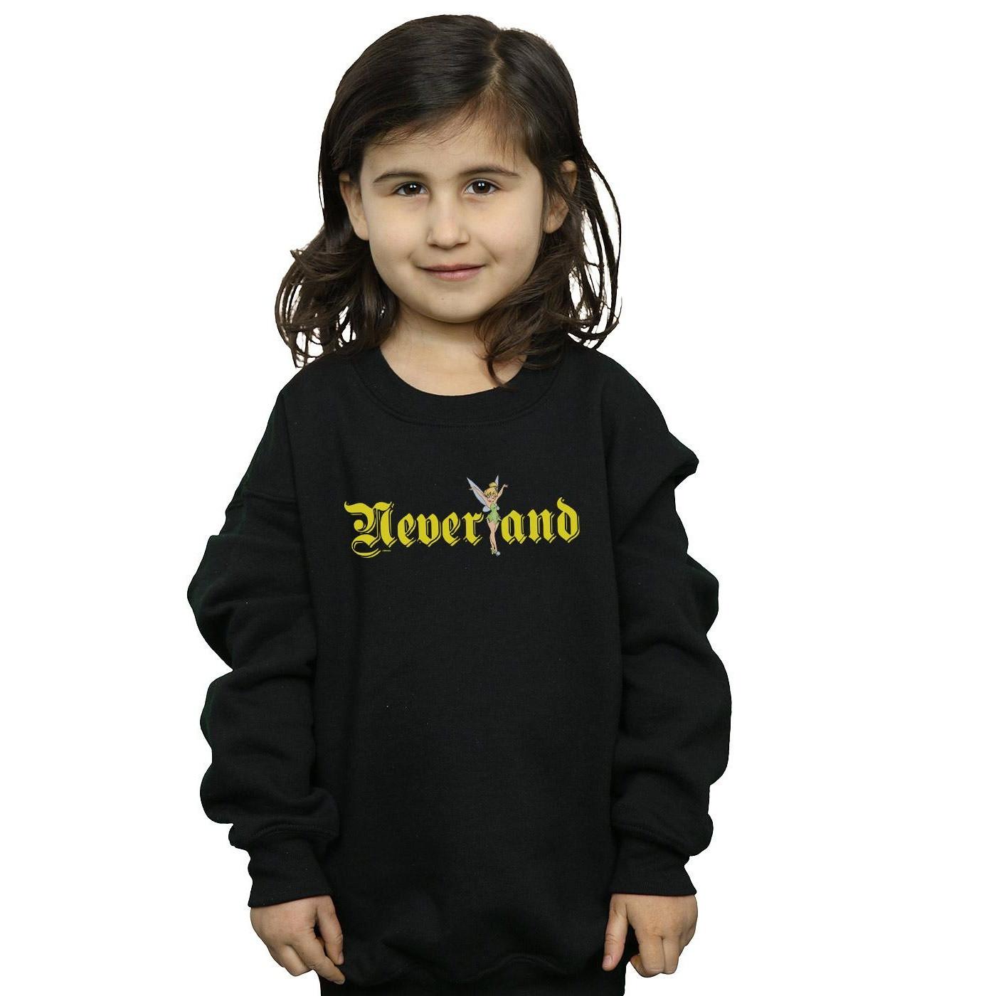 Disney  Neverland Sweatshirt 