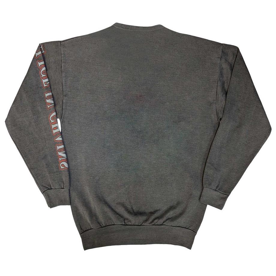 Alice In Chains Sweatshirt Imprimé Graphique Sasquatch Coucher de Soleil  