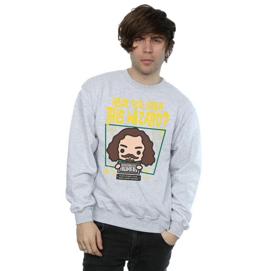 HARRY-POTTER Sirius Black Azkaban Junior Sweatshirt  