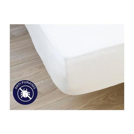 DODO Pège matelas DODO imperméable anti punaises de lit MAXIPECT  