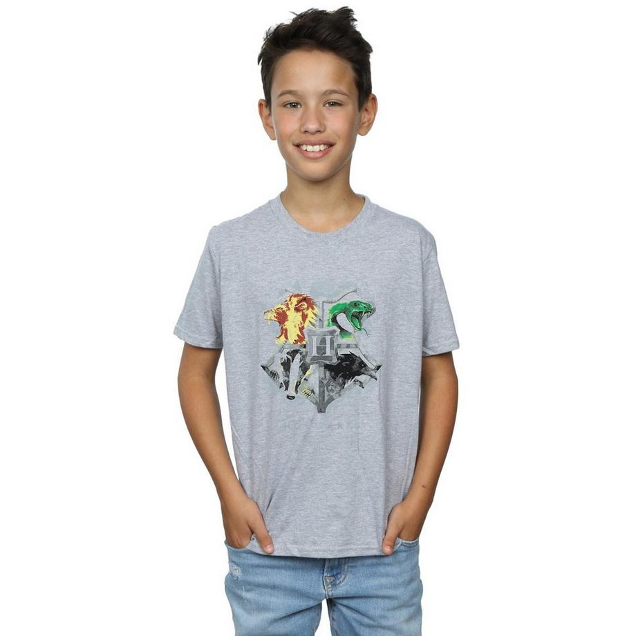 Harry Potter  Hogwarts TShirt 