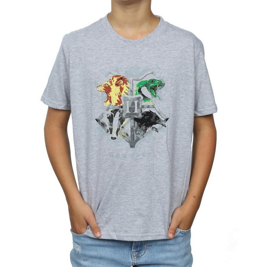 Harry Potter  Hogwarts TShirt 