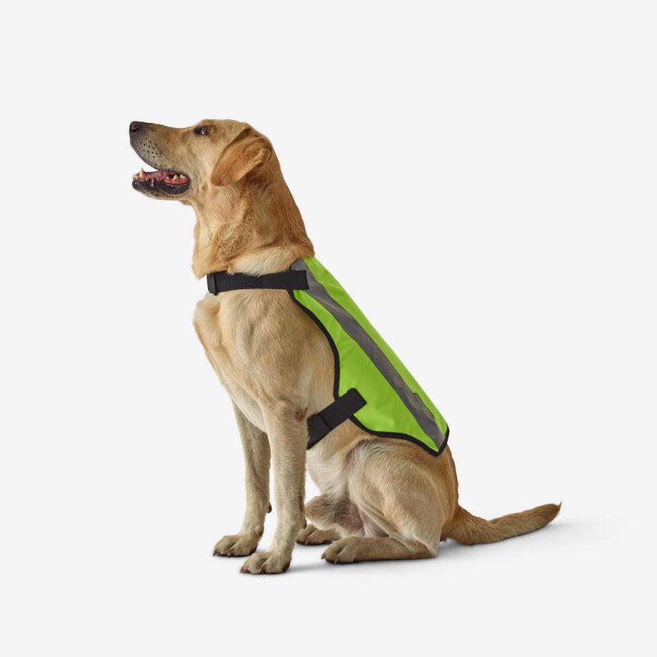 SOLOGNAC  Gilet de protection chien polyester 