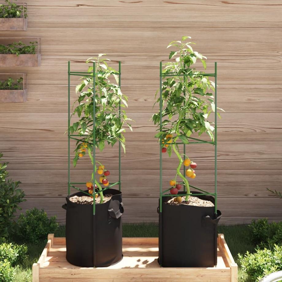 VidaXL sostegno per pomodori Acciaio  