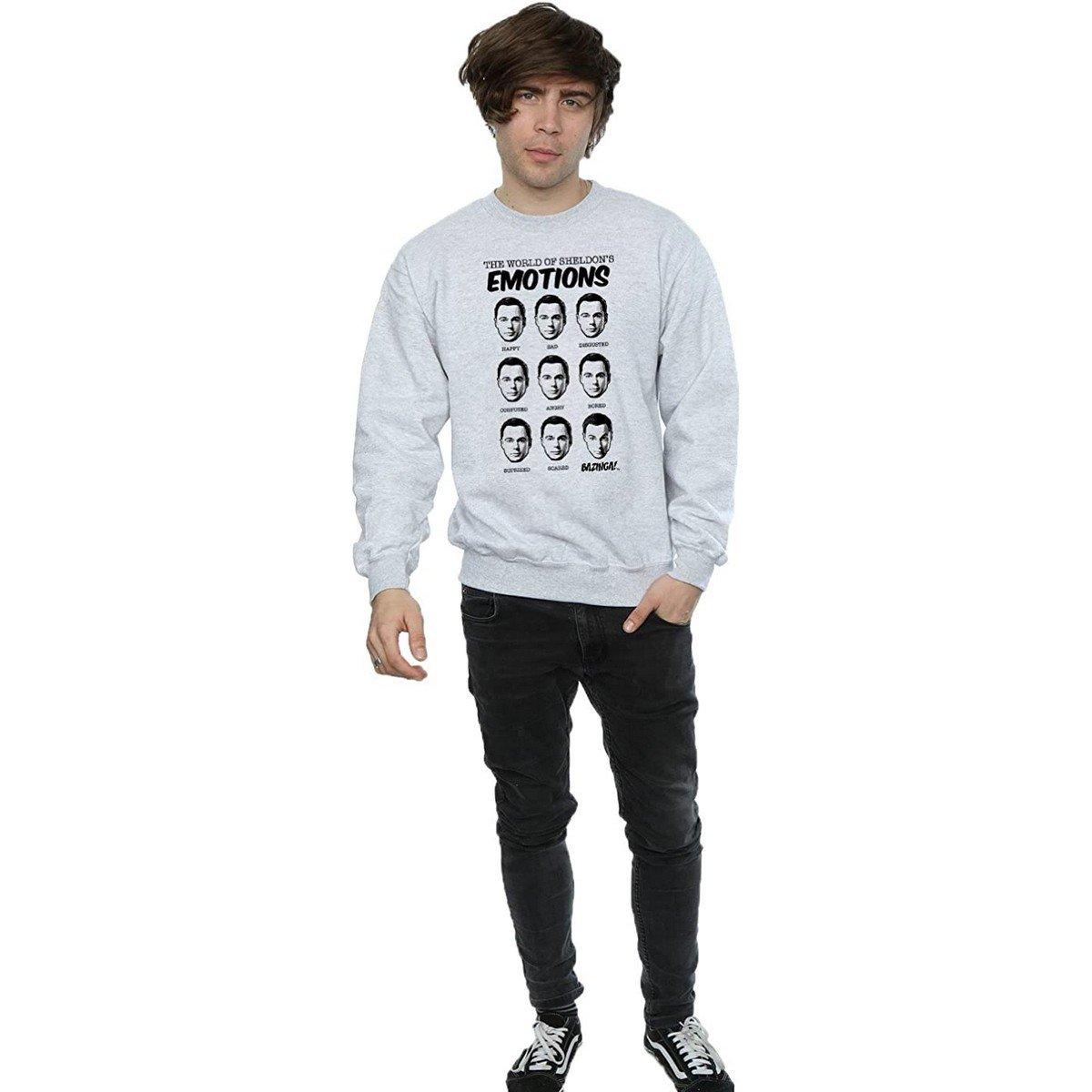 The Big Bang Theory  Sweatshirt 