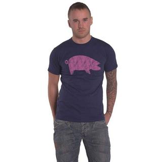 Pink Floyd  AWBDG TShirt 