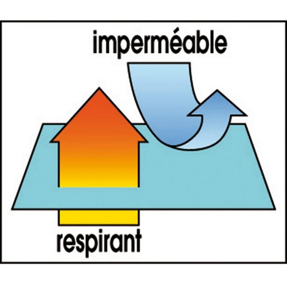 La Redoute Intérieurs Wasserdichter Nackenrollen-Schonbezug mit Milbenschutz  