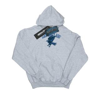 Harry Potter  Ravenclaw Kapuzenpullover 