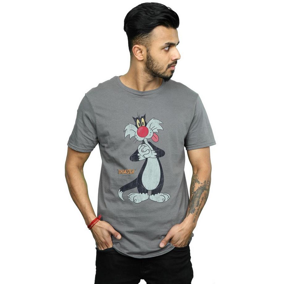 LOONEY TUNES Sylvester the Cat T-Shirt Imprimé Manches Courtes  
